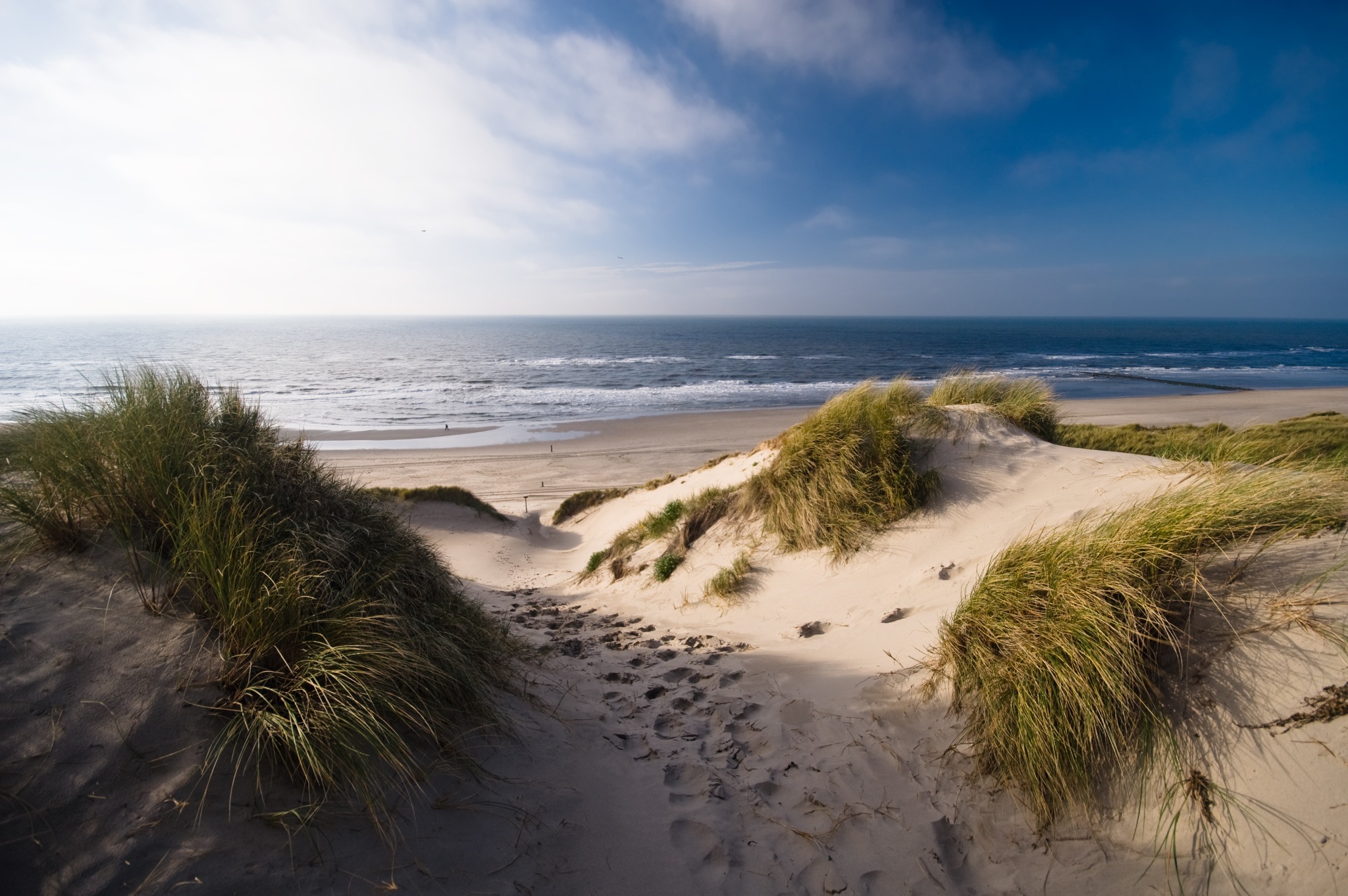 Duinen en strand van Noord-Holland